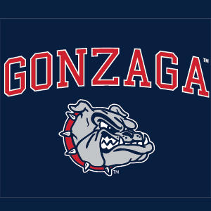 Gonzaga University Bulldogs Nintendo 2DS XL (2017) Skin